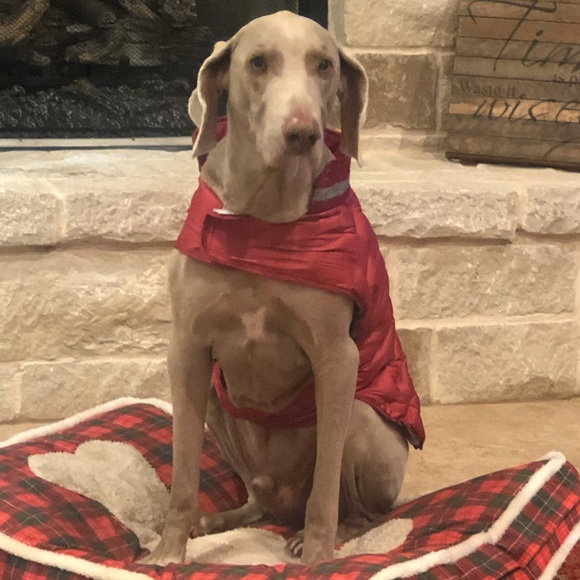 Meet your Posher, Kent - Picture 1 of 1